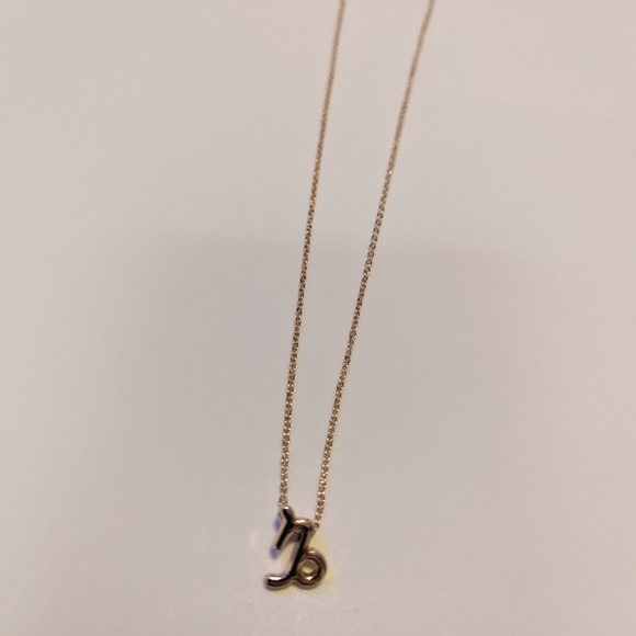 Zodiac Capricorn Sign Fashion Necklace - Picture 7 of 8